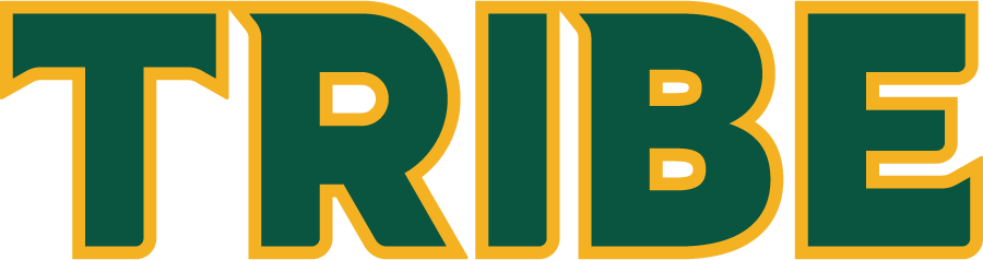 William and Mary Tribe 2022-Pres Wordmark Logo v2 diy iron on heat transfer